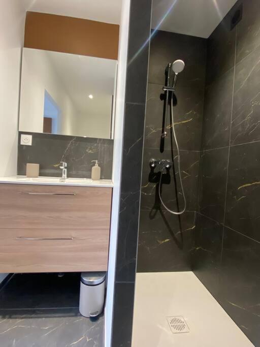 Apartment 40m² Cosy Neuf Garage Prive / Pasteur *